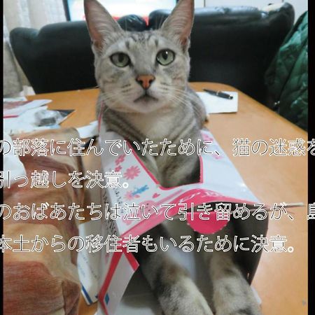 Willa Okinawa Freedom Nakijin Zewnętrze zdjęcie