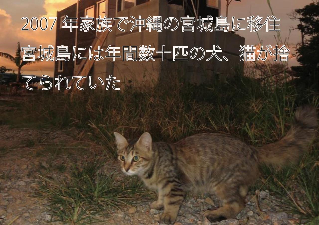 Willa Okinawa Freedom Nakijin Zewnętrze zdjęcie